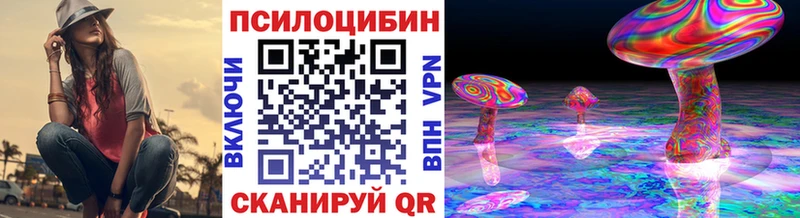 Галлюциногенные грибы Cubensis  omg сайт  Новосибирск 