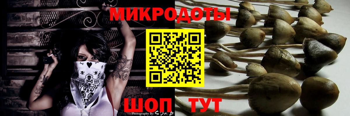 Галлюциногенные грибы Psilocybine cubensis  как найти   Новосибирск  Вход с VPN  Псилоцибиновые грибы MAGIC MUSHROOMS 